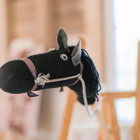 Semesterbostad Hof Koehne - Haus An Der Weide Rechts Schmallenberg