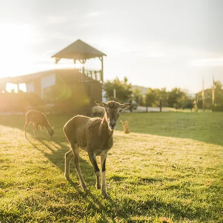 Hof Koehne - Haus An Der Weide Rechts * Schmallenberg