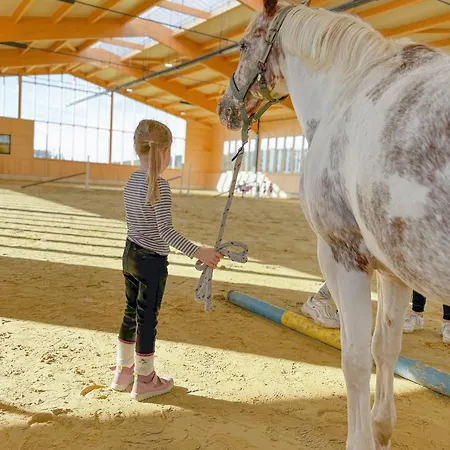 Hof Koehne - Haus An Der Weide Rechts Hébergement de vacances Schmallenberg