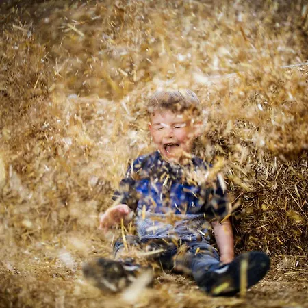 Hébergement de vacances Hof Koehne - Haus An Der Weide Rechts