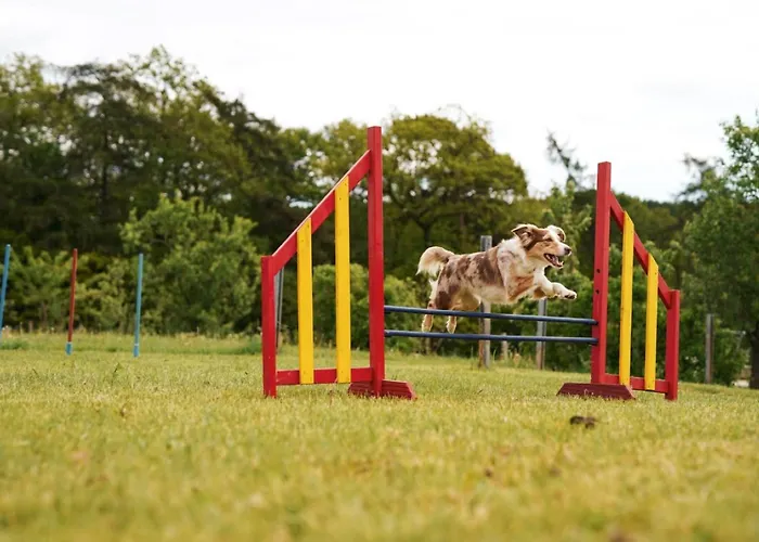 Hof Koehne - Haus An Der Weide Rechts Semesterbostad Schmallenberg
