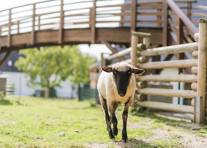 Hof Koehne - Haus An Der Weide Rechts * Schmallenberg