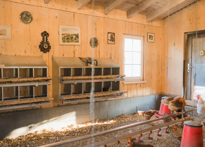 Hof Koehne - Haus An Der Weide Rechts * Schmallenberg