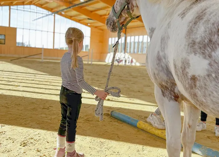 Hof Koehne - Haus An Der Weide Rechts Semesterbostad Schmallenberg